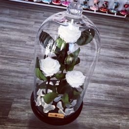   Nagy méretű 50 cm búrába zárt 3 szálas Örök Rózsa / Forever Rose - Fehér