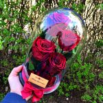 Nagy méretű búrába zárt 4 szálas Örök Rózsa / Forever Rose - Vörös