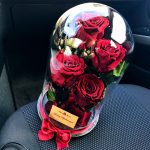 Nagy méretű búrába zárt 4 szálas Örök Rózsa / Forever Rose - Vörös