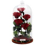 Nagy méretű 50 cm búrába zárt 5 szálas Örök Rózsa / Forever Rose - Vörös