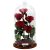 Nagy méretű 50 cm búrába zárt 5 szálas Örök Rózsa / Forever Rose - Vörös