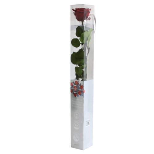 Örök Rózsa szál / Forever Rose PVC díszdobozban 55 cm - Vörös