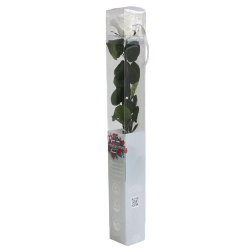 Örök Rózsa szál / Forever Rose PVC díszdobozban 55 cm - Fehér