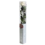 Örök Rózsa szál / Forever Rose PVC díszdobozban 55 cm - Barack