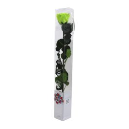   Örök Rózsa szál / Forever Rose PVC díszdobozban 55 cm - Zöld