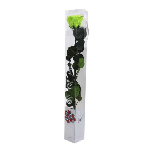 Örök Rózsa szál / Forever Rose PVC díszdobozban 55 cm - Zöld