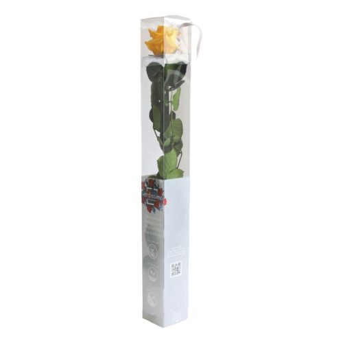 Örök Rózsa szál / Forever Rose PVC díszdobozban 55 cm - Citrom
