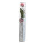 Örök Rózsa szál / Forever Rose PVC díszdobozban 55 cm - Rózsaszín