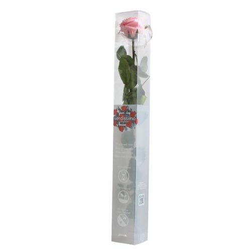 Örök Rózsa szál / Forever Rose PVC díszdobozban 55 cm - Rózsaszín