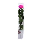 Örök Rózsa szál / Forever Rose PVC díszdobozban 55 cm - Pink