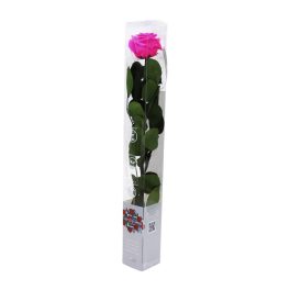   Örök Rózsa szál / Forever Rose PVC díszdobozban 55 cm - Pink