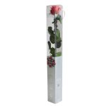Örök Rózsa szál / Forever Rose PVC díszdobozban 55 cm - Dark pink