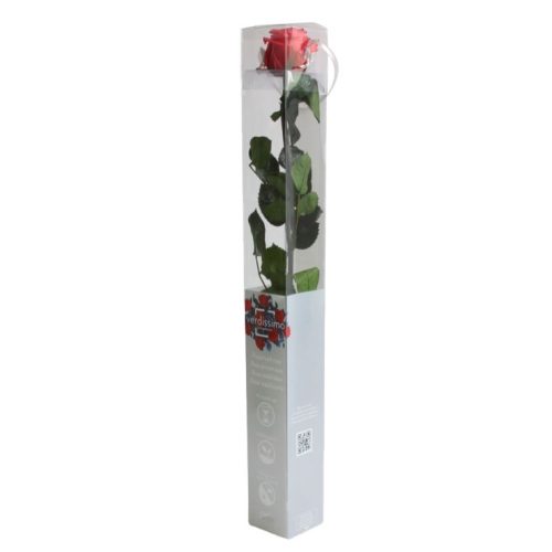 Örök Rózsa szál / Forever Rose PVC díszdobozban 55 cm - Dark pink