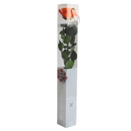   Örök Rózsa szál / Forever Rose PVC díszdobozban 55 cm - Narancs