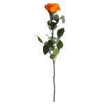 Örök Rózsa szál / Forever Rose PVC díszdobozban 55 cm - Narancs