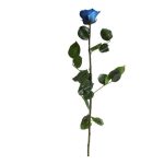 Örök Rózsa szál / Forever Rose PVC díszdobozban 55 cm - Kék