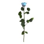 Örök Rózsa szál / Forever Rose PVC díszdobozban 55 cm - Világoskék