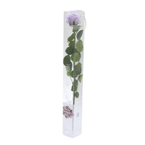 Örök Rózsa szál / Forever Rose PVC díszdobozban 55 cm - Lila