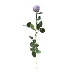 Örök Rózsa szál / Forever Rose PVC díszdobozban 55 cm - Lila