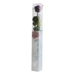 Örök Rózsa szál / Forever Rose PVC díszdobozban 55 cm - Sötétlila