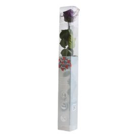   Örök Rózsa szál / Forever Rose PVC díszdobozban 55 cm - Sötétlila