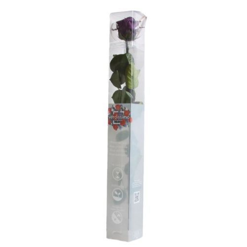 Örök Rózsa szál / Forever Rose PVC díszdobozban 55 cm - Sötétlila