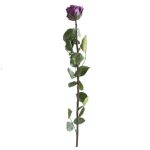 Örök Rózsa szál / Forever Rose PVC díszdobozban 55 cm - Sötétlila