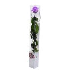 Örök Rózsa szál / Forever Rose PVC díszdobozban 55 cm - Violet lila