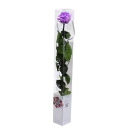   Örök Rózsa szál / Forever Rose PVC díszdobozban 55 cm - Violet lila