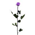 Örök Rózsa szál / Forever Rose PVC díszdobozban 55 cm - Violet lila