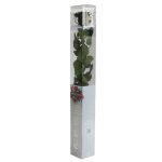 Örök Rózsa szál / Forever Rose PVC díszdobozban 55 cm - Fekete