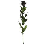 Örök Rózsa szál / Forever Rose PVC díszdobozban 55 cm - Fekete
