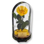 Nagy méretű búrába zárt Bella Örök Rózsa / Forever Rose - Citromsárga