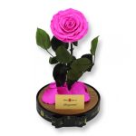 Nagy méretű búrába zárt Bella Örök Rózsa / Forever Rose - Pink
