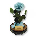 Nagy méretű búrába zárt Bella Örök Rózsa / Forever Rose - Világoskék