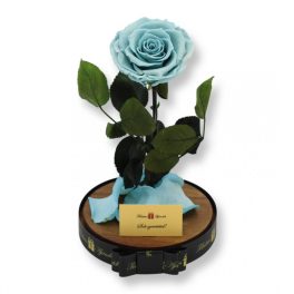   Nagy méretű búrába zárt Bella Örök Rózsa / Forever Rose - Világoskék