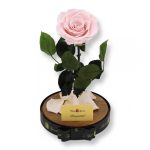 Nagy méretű búrába zárt Bella Örök Rózsa / Forever Rose - Rózsaszín