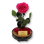 Nagy méretű búrába zárt Bella Örök Rózsa / Forever Rose - Dark Pink