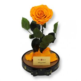   Nagy méretű búrába zárt Bella Örök Rózsa / Forever Rose - Narancssárga