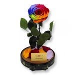 Nagy méretű búrába zárt Bella Örök Rózsa / Forever Rose - Rainbow
