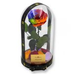 Nagy méretű búrába zárt Bella Örök Rózsa / Forever Rose - Rainbow
