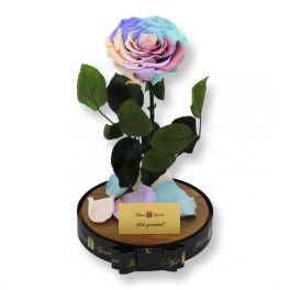   Nagy méretű búrába zárt Bella Örök Rózsa / Forever Rose - Candy Rainbow