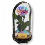Nagy méretű búrába zárt Bella Örök Rózsa / Forever Rose - Candy Rainbow