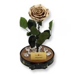 Nagy méretű búrába zárt Bella Örök Rózsa / Forever Rose - Metál arany