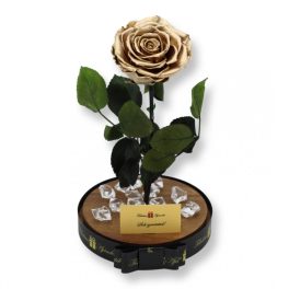   Nagy méretű búrába zárt Bella Örök Rózsa / Forever Rose - Metál arany