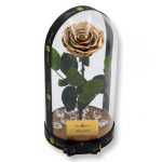 Nagy méretű búrába zárt Bella Örök Rózsa / Forever Rose - Metál arany