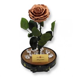   Nagy méretű búrába zárt Bella Örök Rózsa / Forever Rose - Metál copper