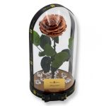 Nagy méretű búrába zárt Bella Örök Rózsa / Forever Rose - Metál copper