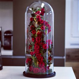   Extra nagy méretű  50 cm Búrába zárt Örök Rózsafa kompozíció / Forever Rose - Burgundy
