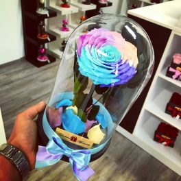   Nagy méretű búrába zárt King Örök Rózsa / Forever Rose - Candy Rainbow